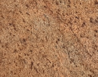 Kashmir Gold