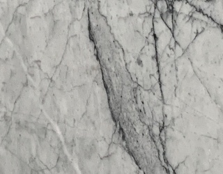 Carrara Venato