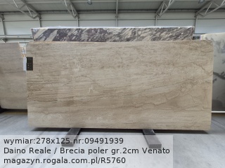 Daino Reale / Brecia Venato