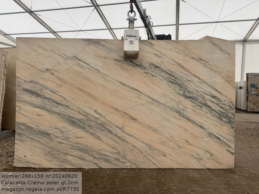 Calacatta Cremo
