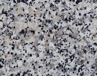FOXtrot White