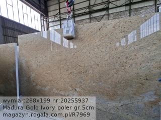 Madura Gold Ivory