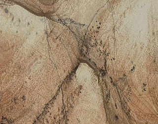Panettone