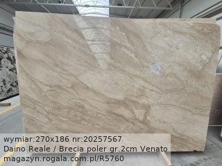 Daino Reale / Brecia Venato