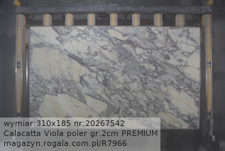 Calacatta Viola PREMIUM