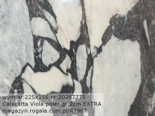 Calacatta Viola EXTRA
