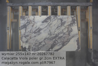 Calacatta Viola EXTRA