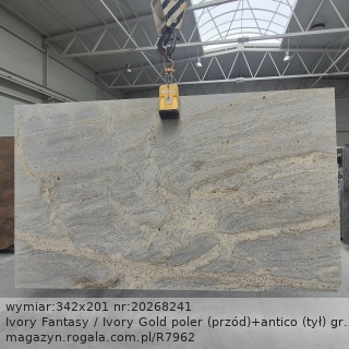 Ivory Fantasy / Ivory Gold (przód)+antico (tył)