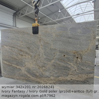 Ivory Fantasy / Ivory Gold (przód)+antico (tył)