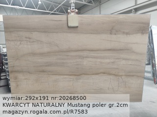 KWARCYT NATURALNY Mustang