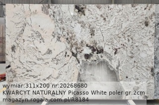 KWARCYT NATURALNY Picasso White