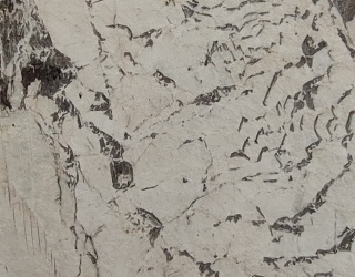 Picasso White