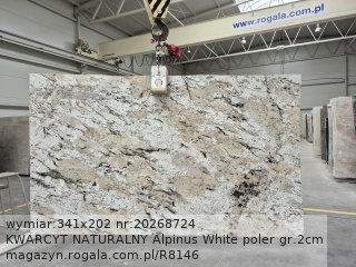 KWARCYT NATURALNY Alpinus White
