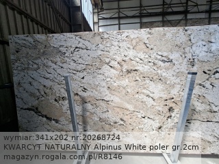 KWARCYT NATURALNY Alpinus White
