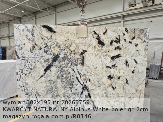 KWARCYT NATURALNY Alpinus White