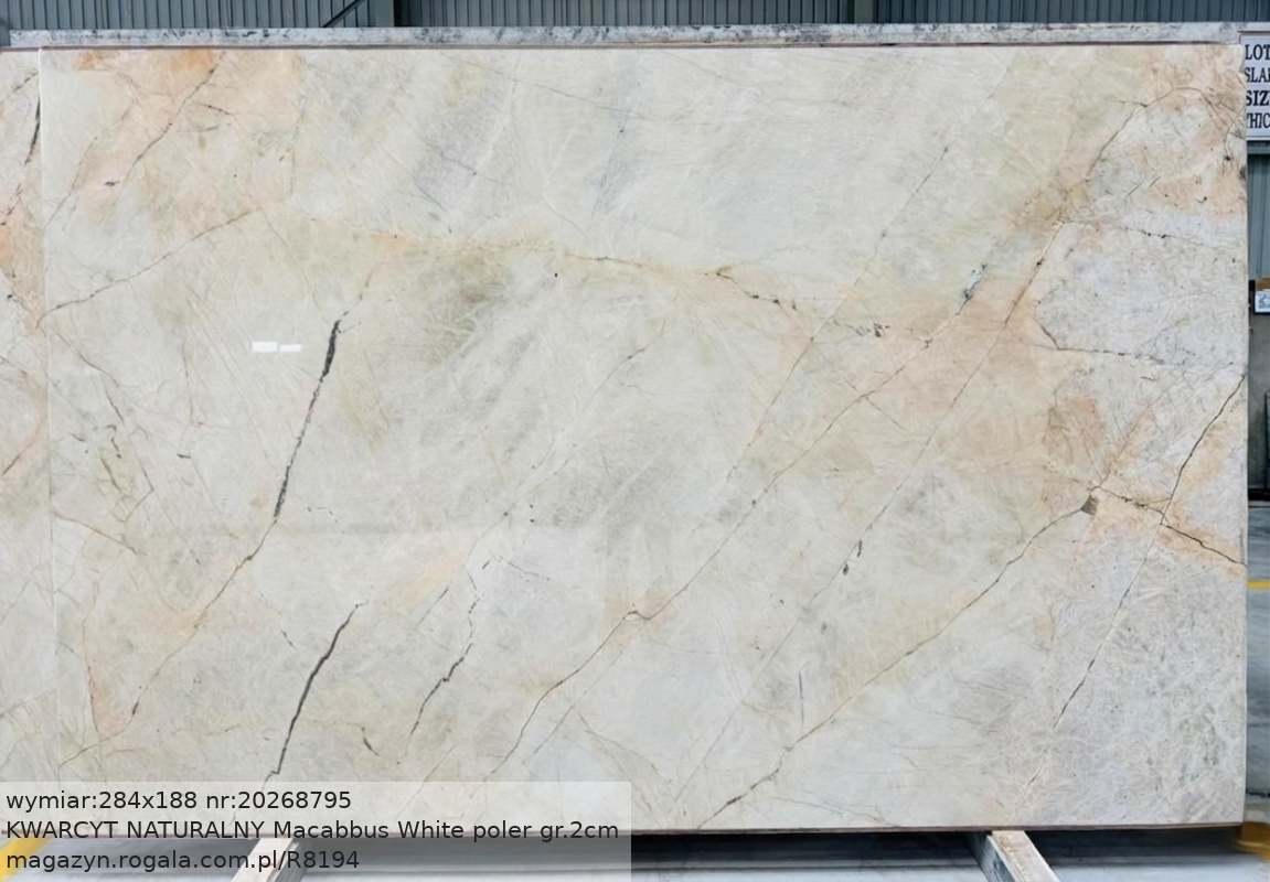 Macabbus White