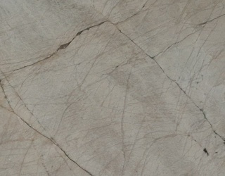 Macabbus White